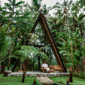 Delta Casa Ubud-Jungle Dreamy Villas with Volcano Views